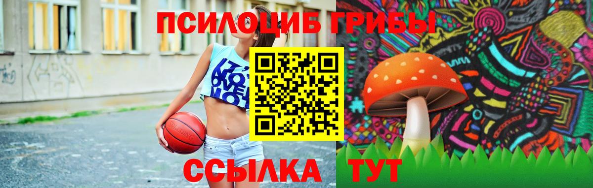 Галлюциногенные грибы Cubensis  Галлюциногенные грибы прущие грибы  Вход с VPN  Асбест 
